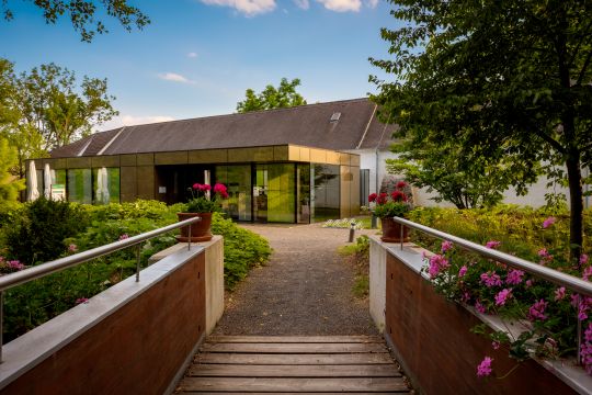 Ein Weg, der zu einem Gebäude führt.